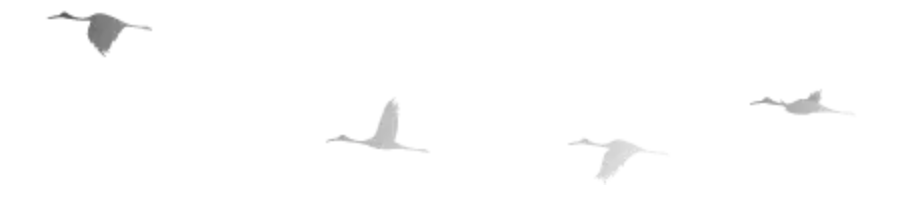 WX20180509-142537@2x.png